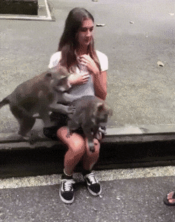 i15159989644.gif