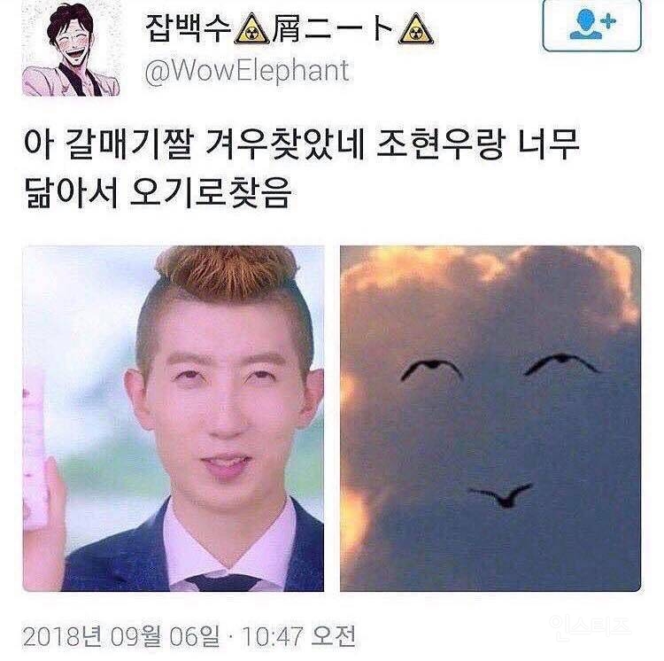 닮은 꼴.jpg