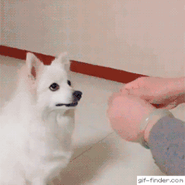 20180725_134128_-579973816.gif
