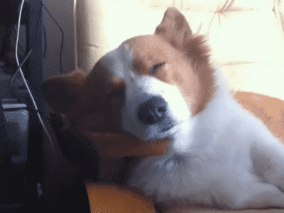 학생 종점이야.gif