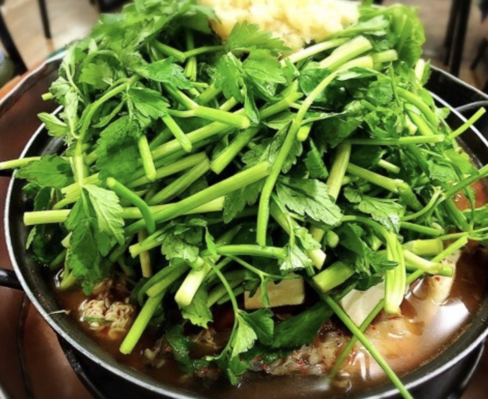 B235F8D6-8091-45FD-A184-857339828ED0.jpeg