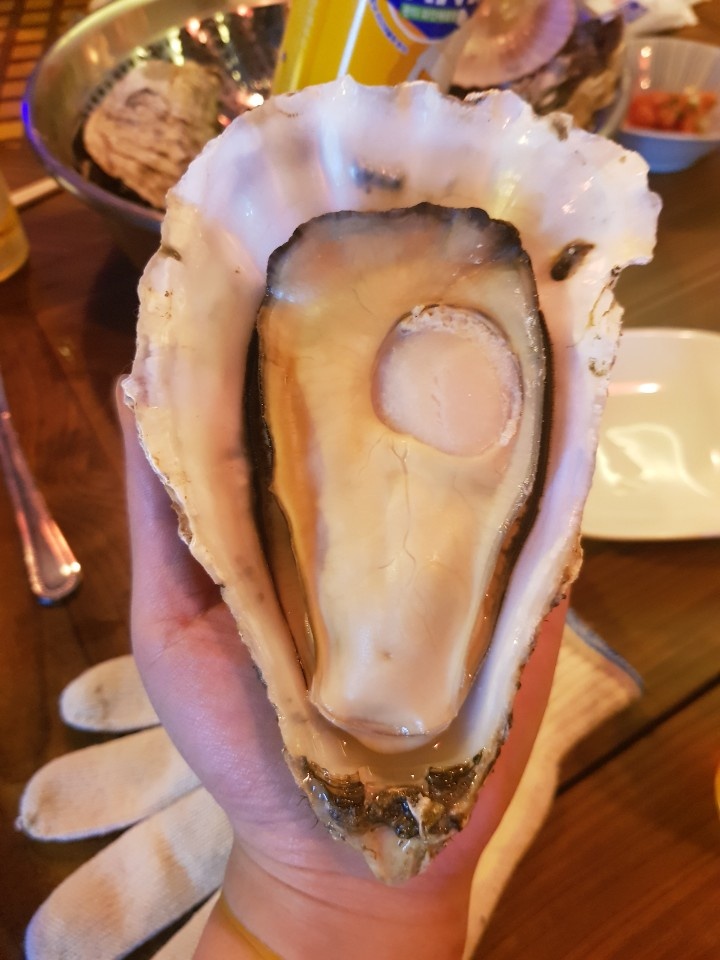KakaoTalk_20191211_112653983.jpg