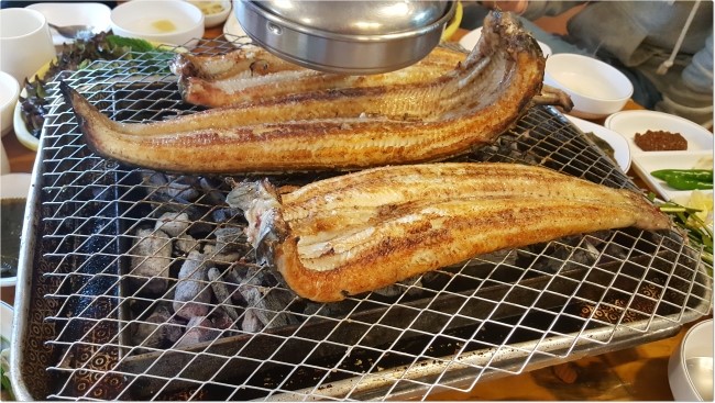 장어.jpg
