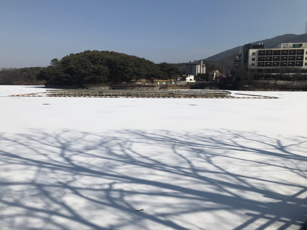 A8867062-E1AC-42C7-94EE-9600CB0DF6EC.jpeg