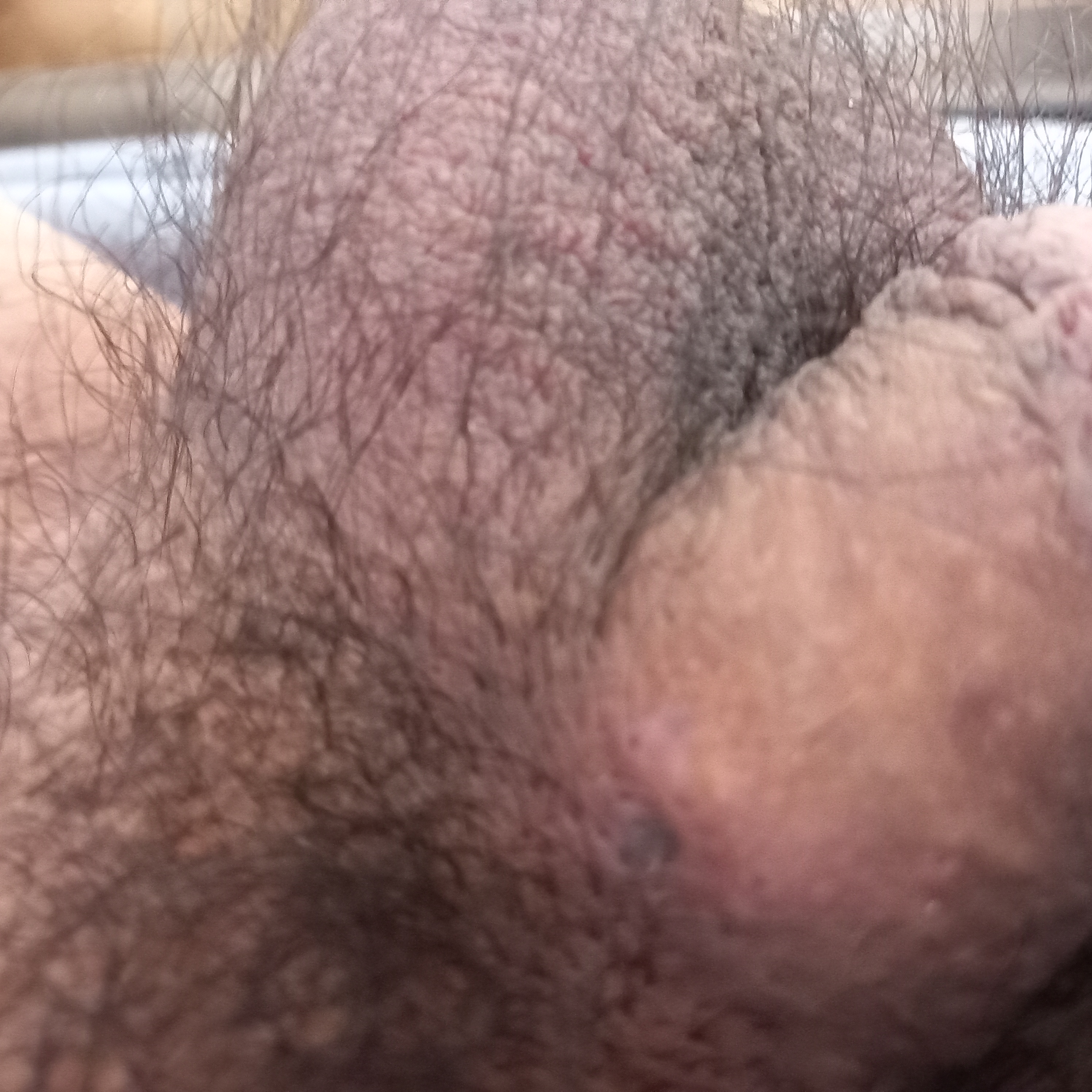 20230603_081437.jpg