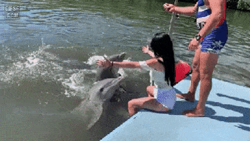 20210522_005155.gif