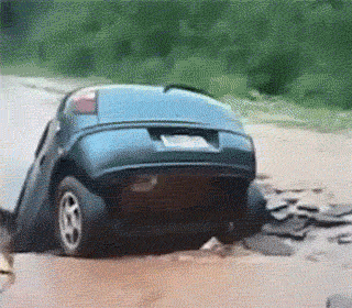 16.gif