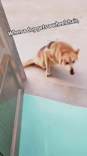 lesl1622115839_1203626400.gif
