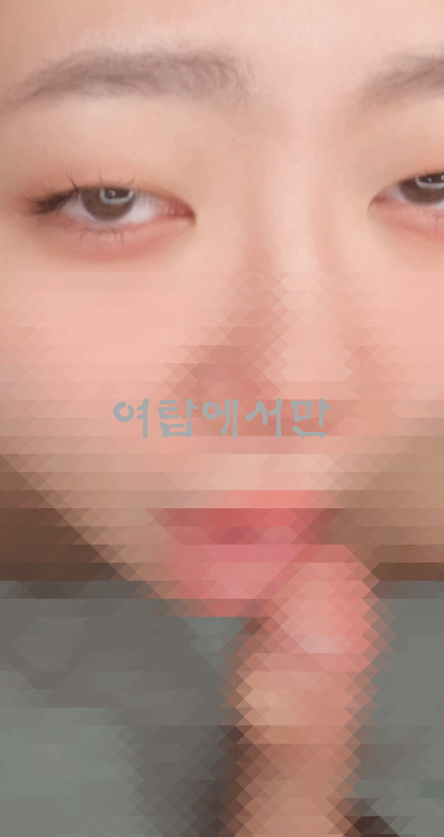 새해복.gif