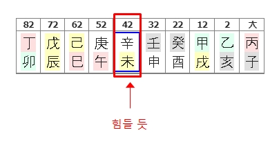 191번(42세 대운 요약).jpg