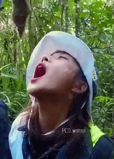 29b2be6f229191129f7d29c3883df101_11258018605_1.gif