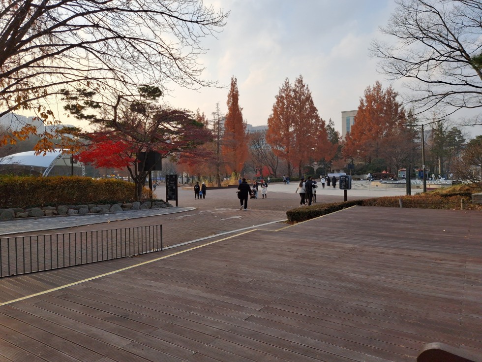 20251130_160114.jpg