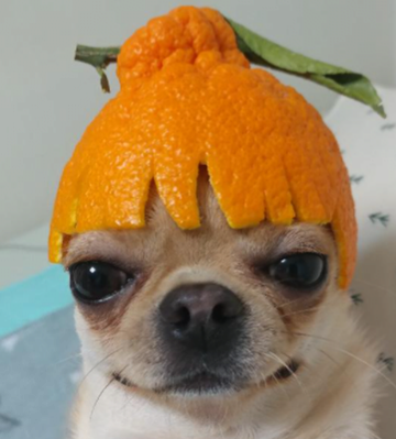 99b983892094b5c6d2fc3736e15da7d1-3.png