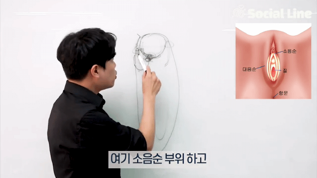 클리토리스 사정시키는법 2편 음핵 혀, 손 애무방법. 사랑하는 연인을 위한 선물_3.gif