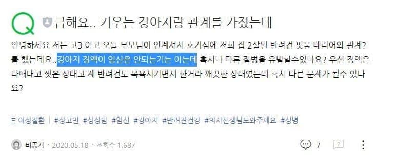 개랑여자랑7.jpg