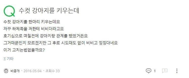 개랑여자랑13.jpg