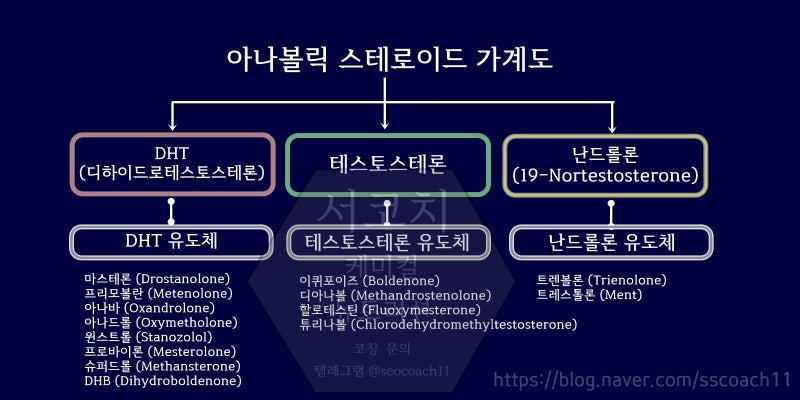 가계도.jpg