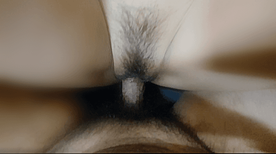 6055_1604928791.5886.gif
