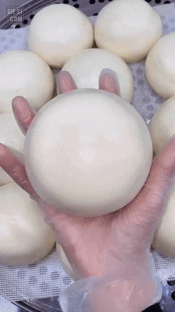 2ADD220C-4D46-4C61-8379-0ED366A3C607.gif