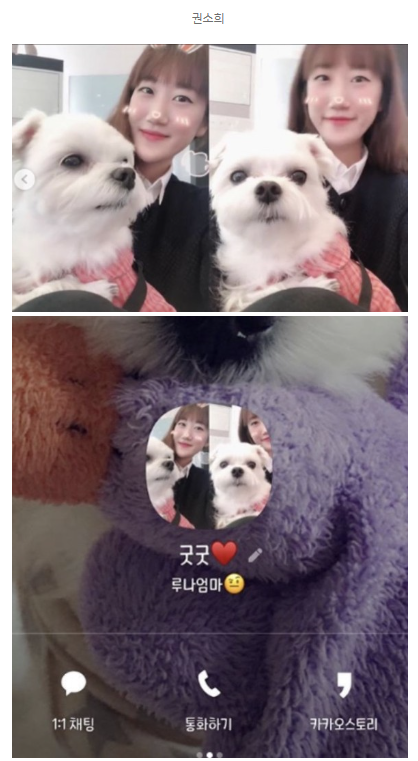 짤1.png