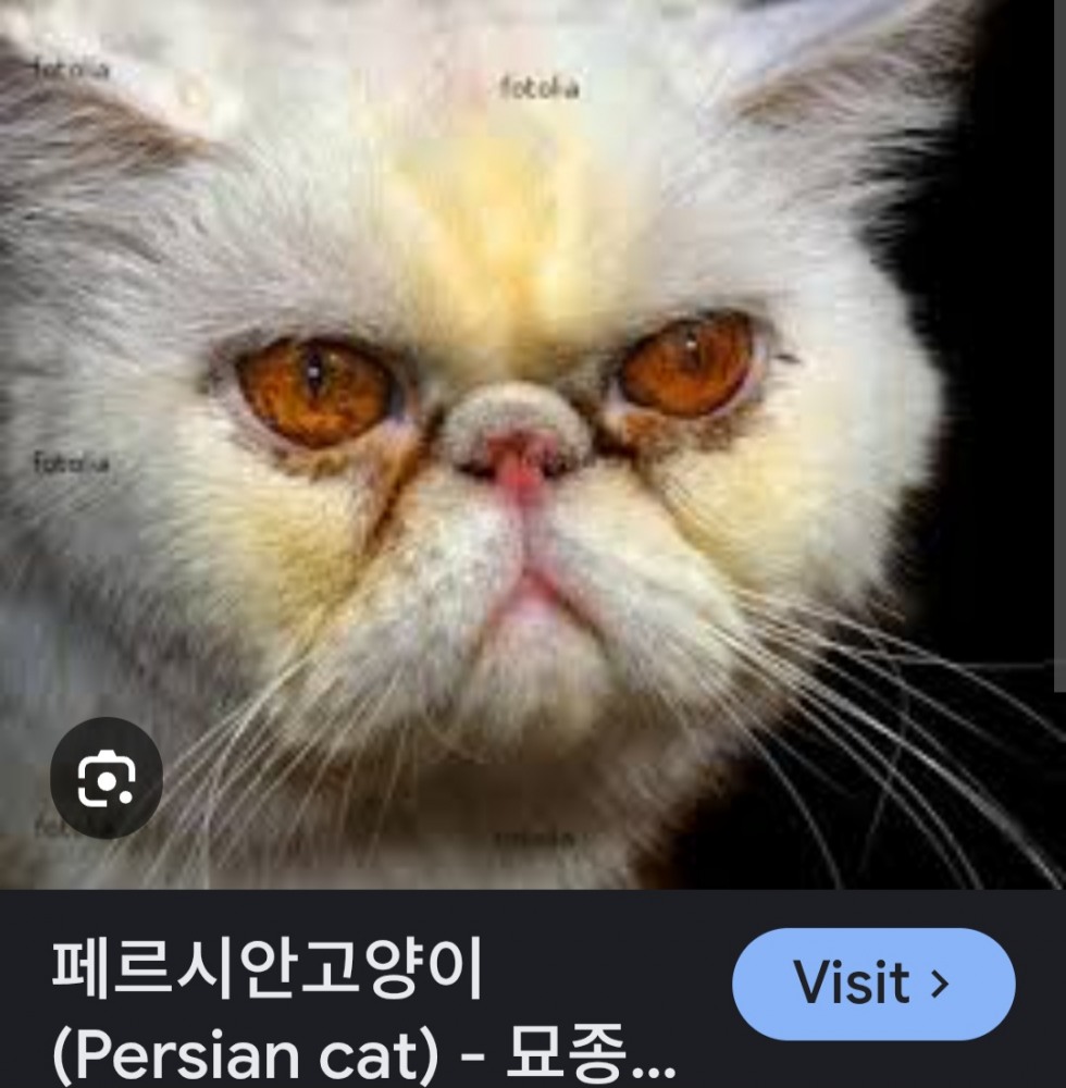 Screenshot_20260113_093759_Chrome.jpg