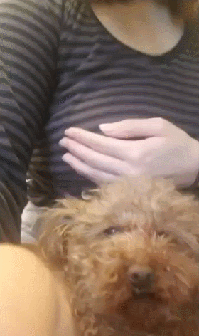 1616020672.gif