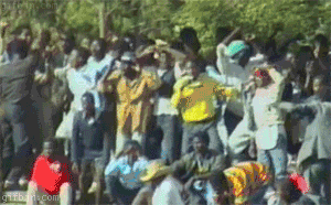 c8ebca0dd0dc5768090a99e2eb15b991.gif