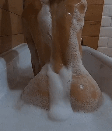 4788fb0e43fd40ace9bccbda26f63fb7_11337086940_1.gif