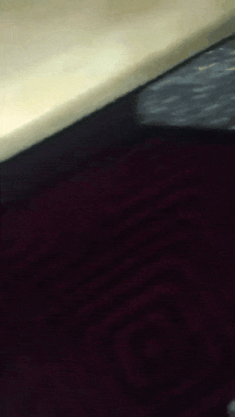 GIF_20250826_054025_528.gif