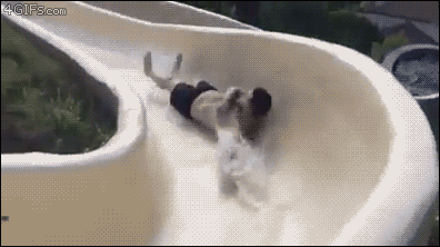 5.gif