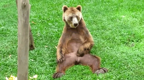 9a7fee2595ab201580f478e1ed1d31e6_11271985216.gif