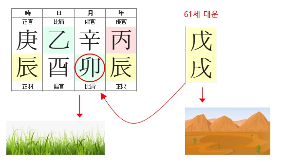 278번(10.61세 대운).jpg