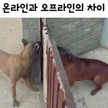 _humorpedia_20210126_002111_0_1.gif