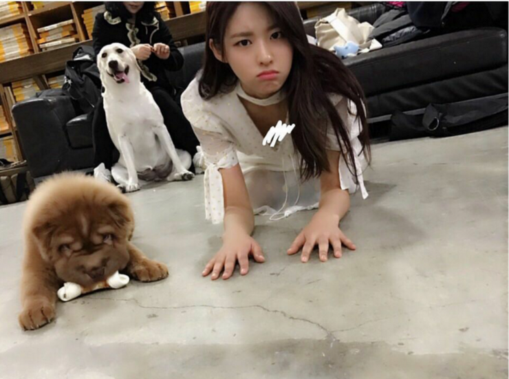 설현.png