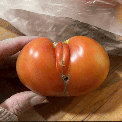20260427_135035.gif