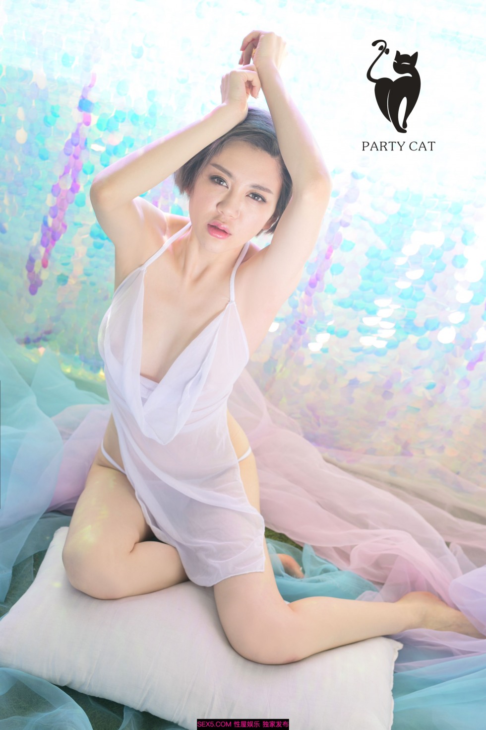PartyCat 33 (18).jpg