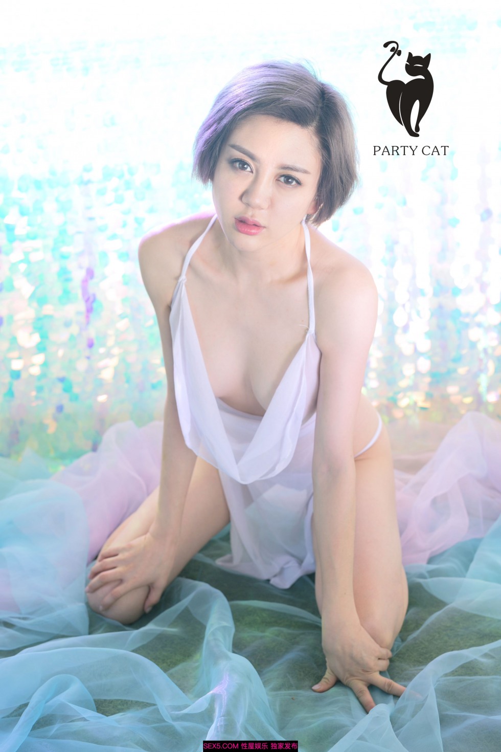 PartyCat 33 (17).jpg