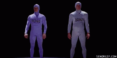 d8b3b69abd5fac8bf14dda1c80638ac8.gif