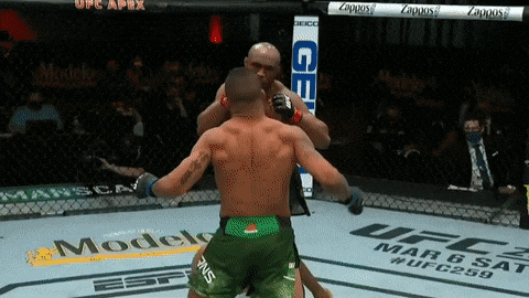 OldIdealAidi－size＿restricted.gif