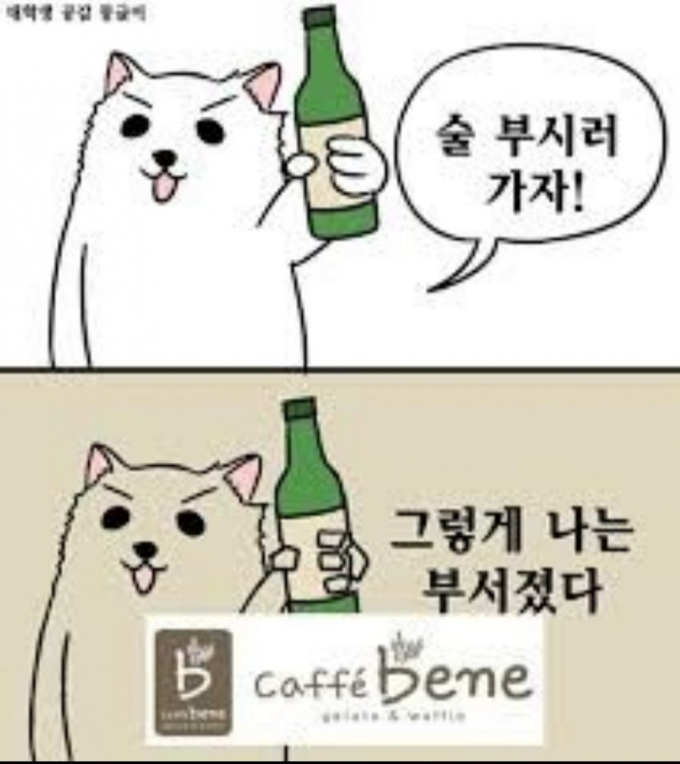 Screenshot_20191128-235357_Naver Cafe.jpg