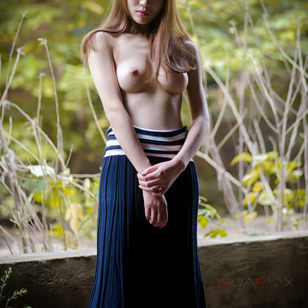 HuaFox (2).jpg