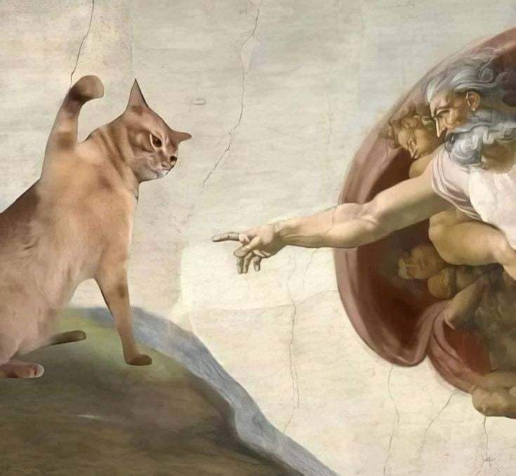 GmECJ80W8AATn4u.jpeg