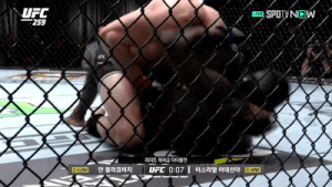 11.gif