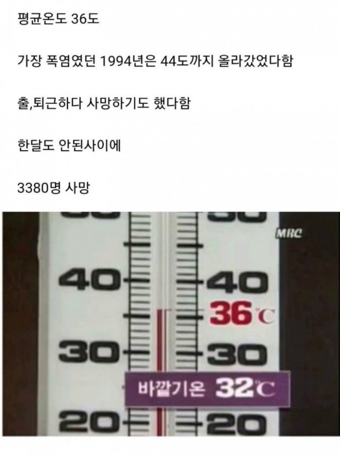 1111.jpg