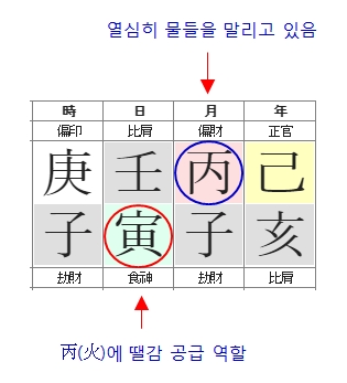 219번(아들 사주원국-4).jpg