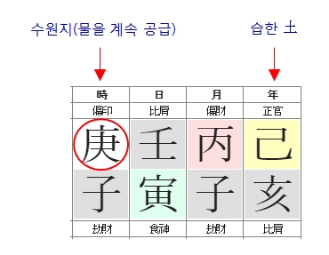 219번(아들 사주원국-2).jpg