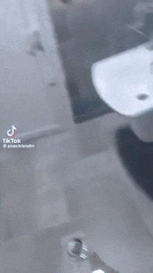 67570e3b6055c_5TgPrIRp_e42f058e29e945cfa26d79388a9238a3e1c240e4 (1).gif