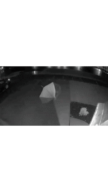 20200724_113943.gif