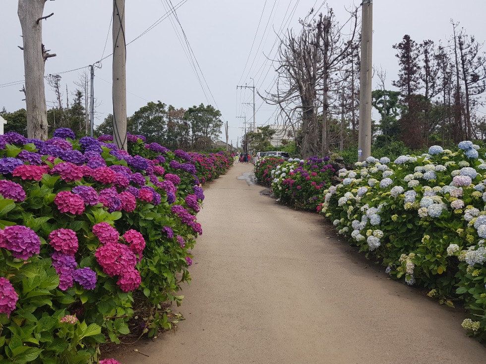 20190617_110726.jpg