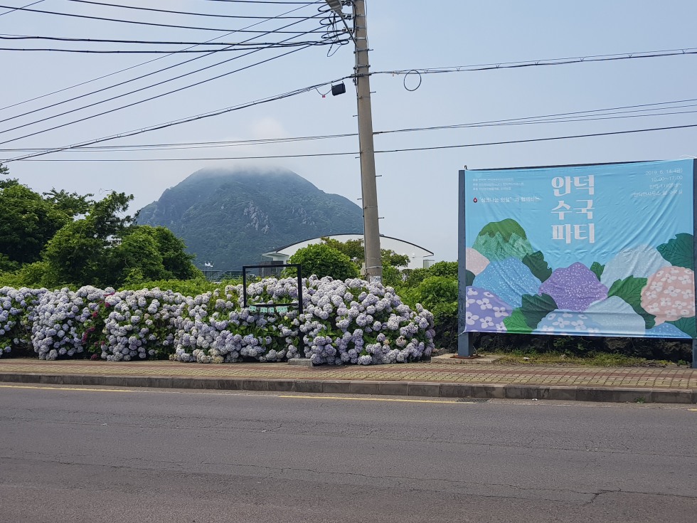20190617_114954.jpg